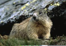 Hohe Tauern National Park - NationalparkWorlds